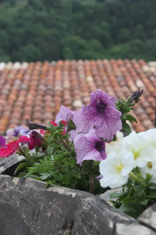 Country house Cal Roseto Guest House Aransa Spain
